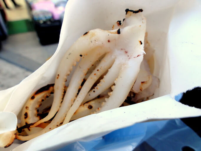 Travel and Lifestyle Diaries - See their post for more on grilled squid!